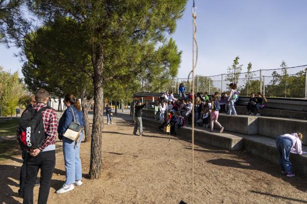 Los coles en el LINA